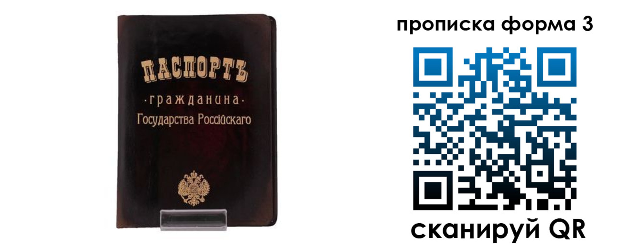 временная регистрация гарантия в Луге